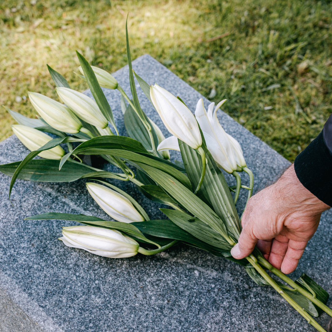 Term life insurance